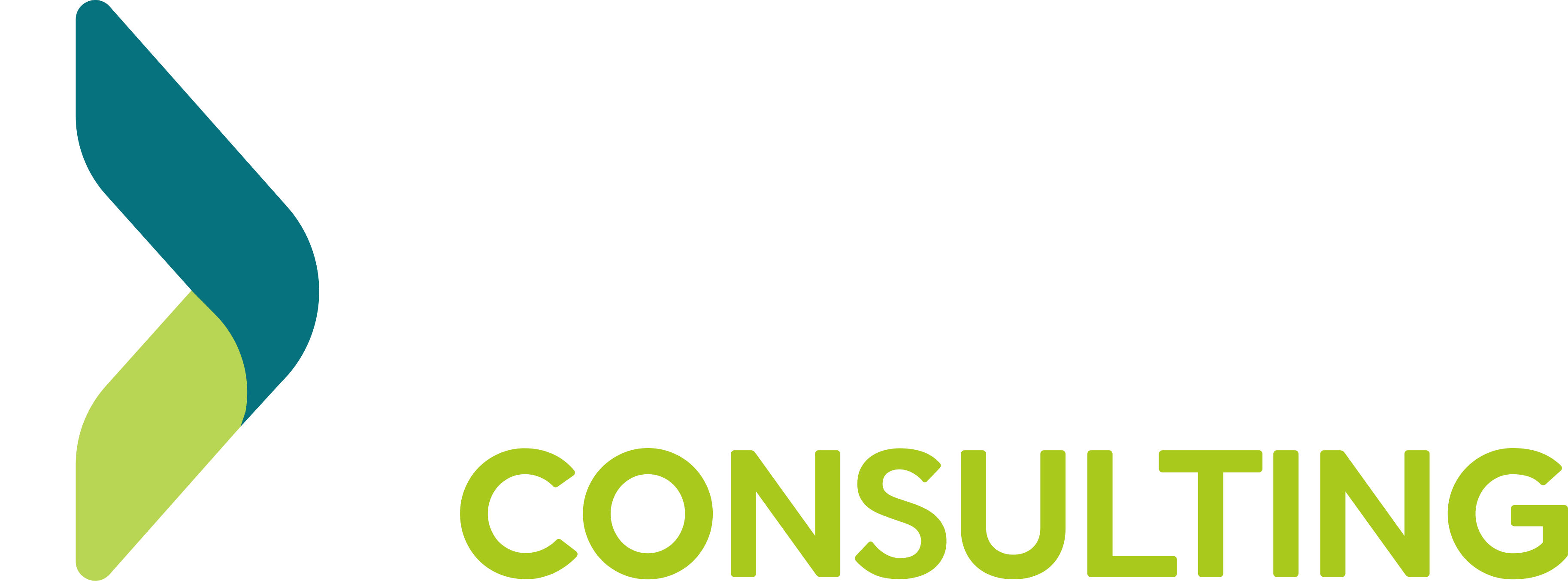 Dux Consulting Logo Footer